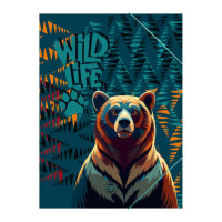 McNeill Sammelmappe A3 BEAR VE 6