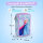 Etui JUMPER 2 gefüllt, Pastell-Edition, FROZEN