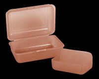 Pastel Frozen - Lunch Box - Transparent - Orange