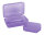 Pastel Frozen - Lunch Box - Transparent - Purple