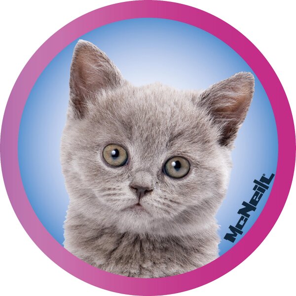 McAddys zu Schulranzen Haustiere: Katzen grau