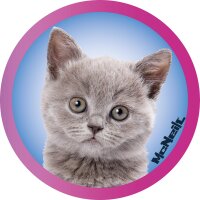 McAddys zu Schulranzen Haustiere: Katzen grau