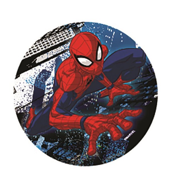 Mc Addy Disney Spiderman 043