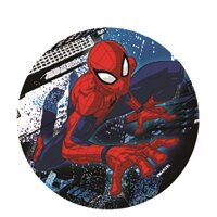 Mc Addy Disney Spiderman 043