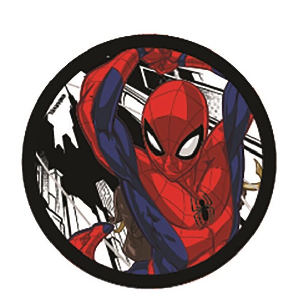 Mc Addy Disney Spiderman 044