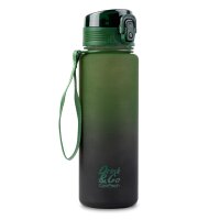 Wasserflasche BRISK 600ml Gradient Grass