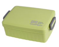 Pastel Lunchbox Green