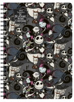 Ringbuch A4_2, Disney NBC