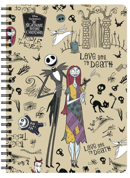 Ringbuch A4_3, Disney NBC