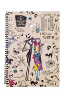 Ringbuch A4_3, Disney NBC