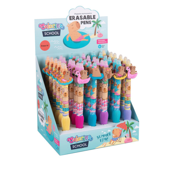 Erasable pens Capybara VE36